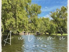 -上海共青森林公园