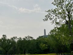 -北坞公园