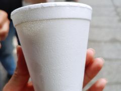 -洪馨椰子