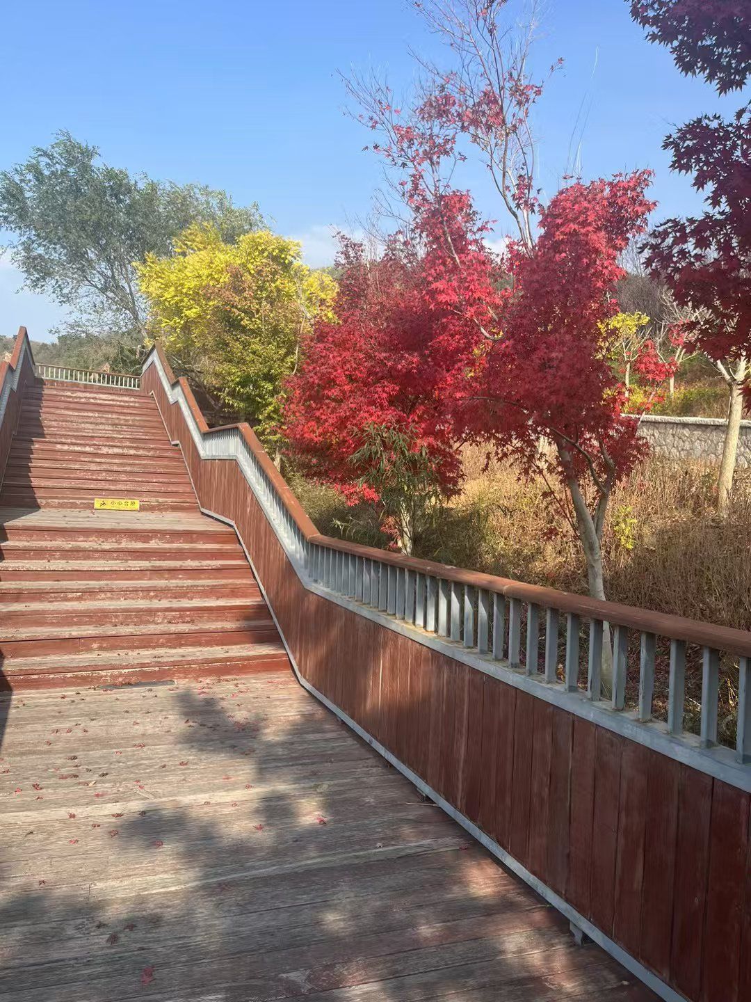 十梅庵公园的秋天也很迷人