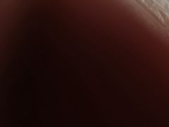 -清真双宝红油牛系列