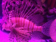 -沈阳海洋探索中心