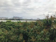 -立新湖公园