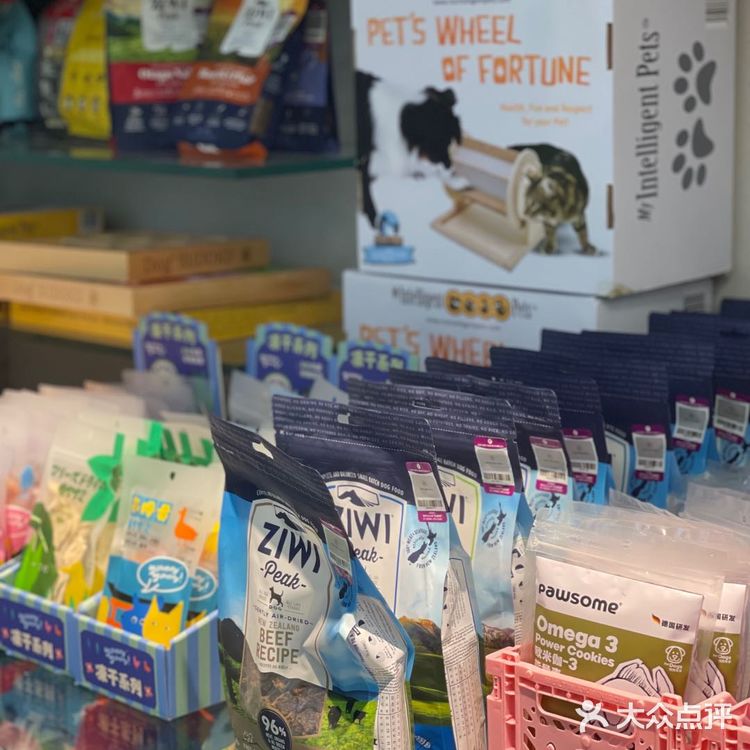 电力宠物公司