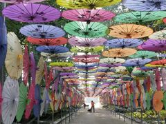 -尚庄度假村·庭台树下·户外烧烤·团建CS·轰趴营地(上庄水库店)