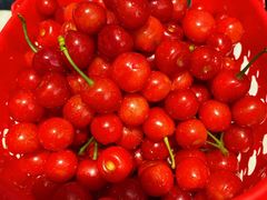 -樱桃山旅游景区