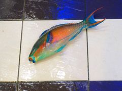 -旅南活海鲜-屏东(墾丁海鮮，海鮮餐廳，墾丁團體合菜，平價熱炒，墾丁熱炒店，活海鮮推薦，在地海鮮餐廳)