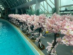 -天山海世界·米立方
