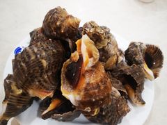 -春华海鲜城(广场西苑店)