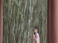 -望江楼公园