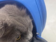 -中农国际动物医院24小时·猫科·骨科·急重症中心