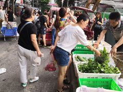 -重庆市江北嘴中央商务区中央公园