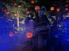 -郑州方特梦幻王国