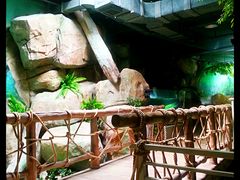 热带雨林-福州罗源湾海洋世界旅游区