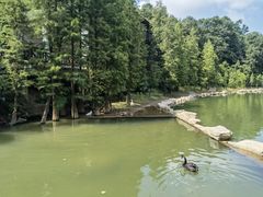 -广州市帽峰山景区