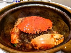 -新同乐鱼翅酒家(美丽华店)