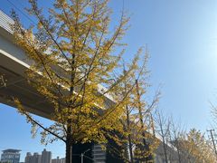 -漕溪路(地铁站)