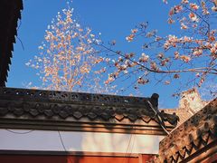 -长春观