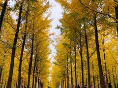 -汉景帝阳陵博物院
