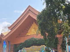 -西双版纳原始森林公园