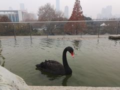-南京圣和府邸豪华精选酒店
