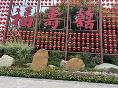 -合肥滨湖国家森林公园