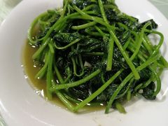 清炒苕尖-大隐隐于市私房菜(保和小区店)