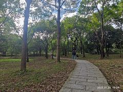 -天河儿童公园