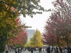 -辽宁大学(崇山校区)