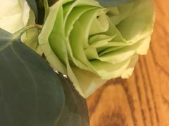 -茹·pure vegan(博华广场店)