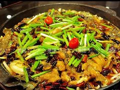 -老板恋上鱼(环山路店)