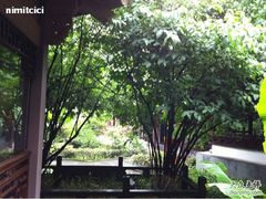 -十八棵（老龙井）御茶园(老龙井店)