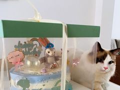 -维尔纳斯·生日蛋糕动物奶油冰淇淋蛋糕(人大店)