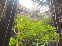 -绿光森林餐厅