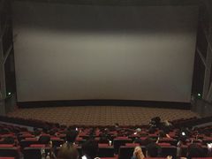 -大世界影城(无锡江南大悦城IMAX激光店)