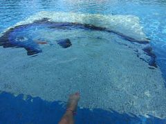 -庐山天沐温泉度假村