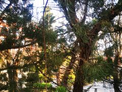 -大连市第二十四中学