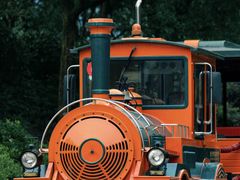 -杭州野生动物世界