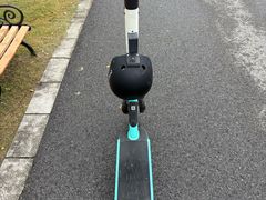 -昆山城市生态森林公园