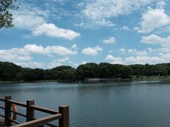 -新洲生态园
