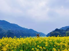 -广州市石门国家森林公园