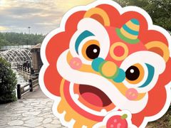 -茅山东方盐湖城景区