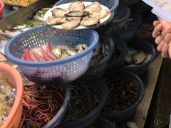 -老三鱼仔店
