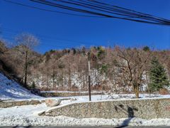 -秦岭风景区
