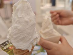 -野人先生Gelato(上海长宁龙之梦店)