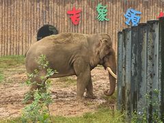 -济南野生动物世界