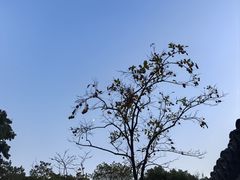-中国湿地博物馆