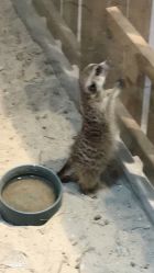-Moni星球萌宠·小马宝莉·灵蛇·高端高阶全萌宠互动体验俱乐部(红豆国际广场店)
