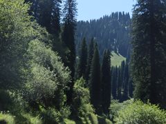 -新疆那拉提国家旅游度假区