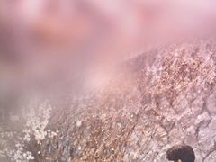 -CHARLES&KEITH(1234space店)